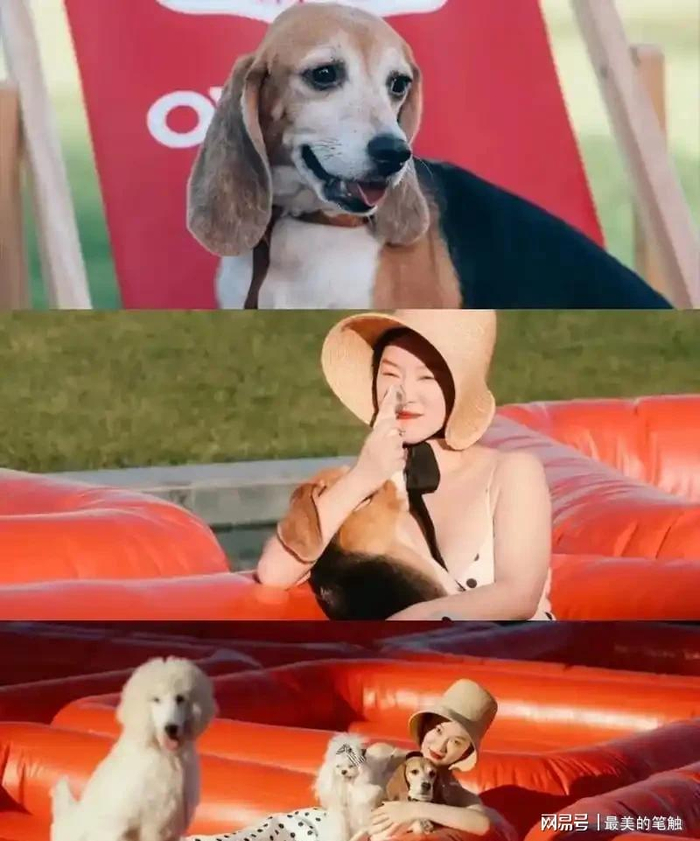  打开网易新闻 查看精彩图片 