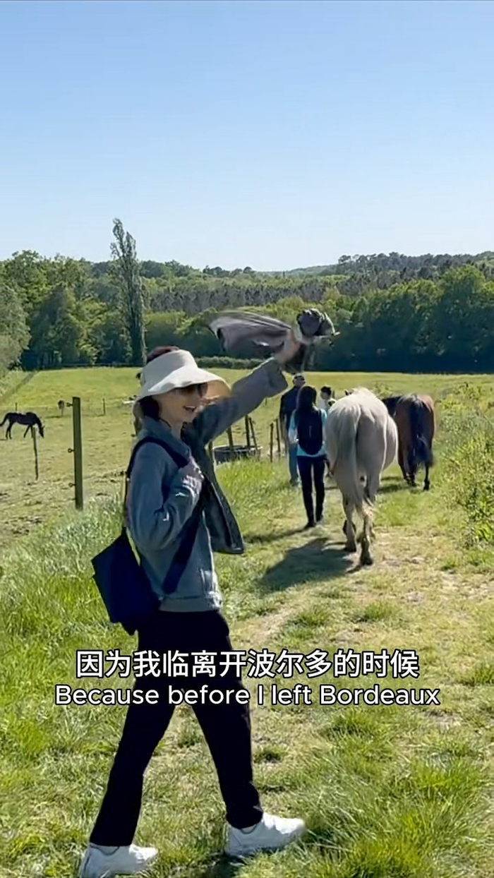 ▲张曼玉打扮朴素。